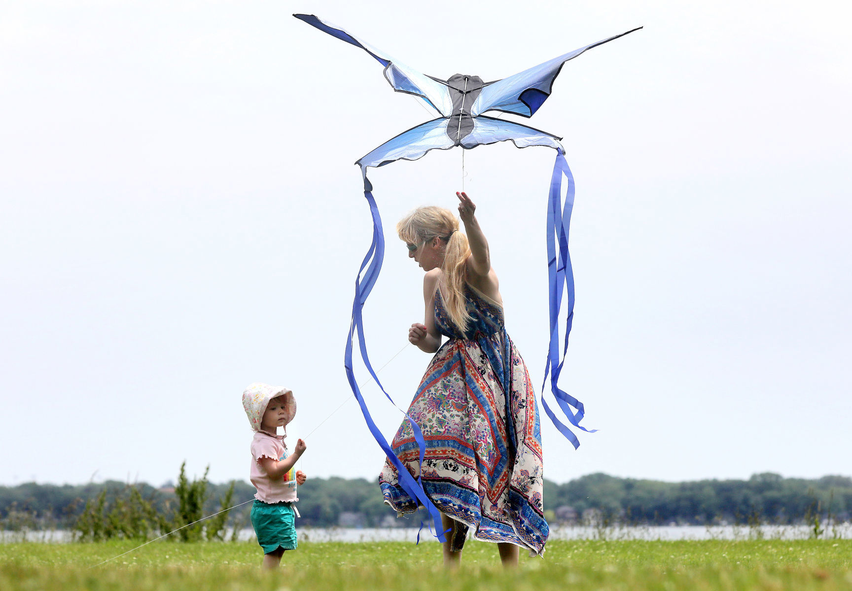 Kite